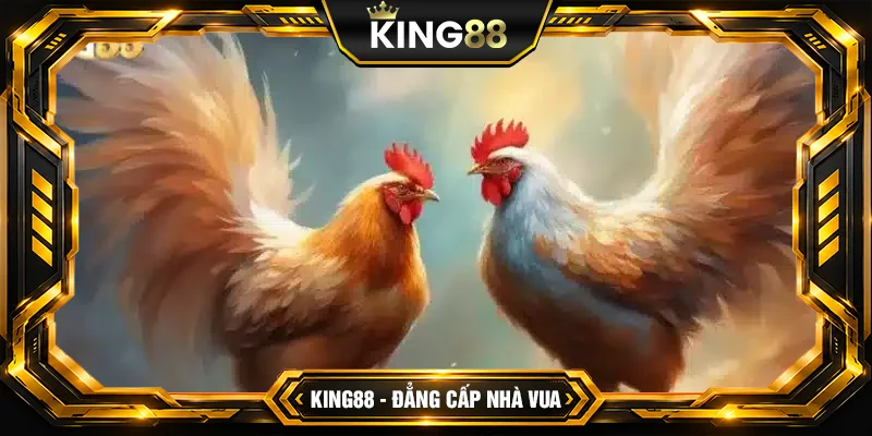 Tìm hiểu về sảnh đá gà King88